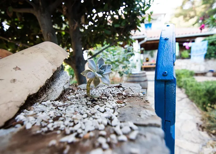 Διαμέρισμα Mama Roza Mit Blick Auf Wasser By Interhome *